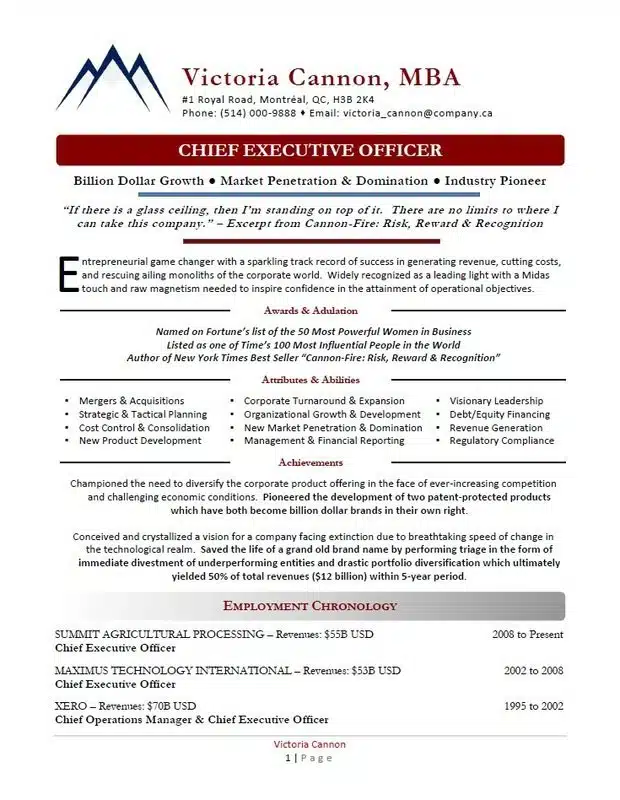CEO Executive Resume Writing Example